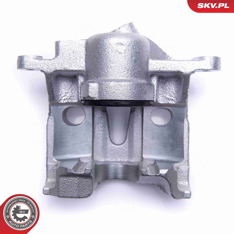 ESEN SKV 50SKV971 Brake Caliper