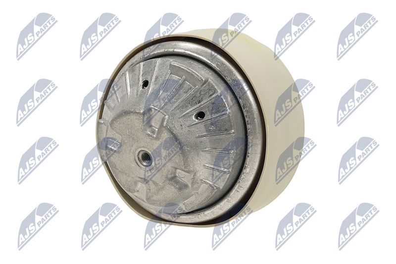 Paigutus, Mootor, NTY ZPS-ME-101