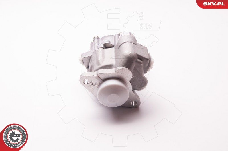 ESEN SKV 1SKV0004 Hydraulic Pump, steering