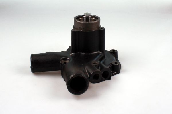 P9934.JPG