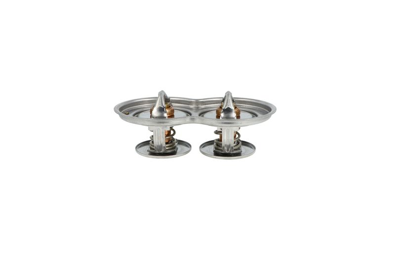 Termostat, chladivo 725433