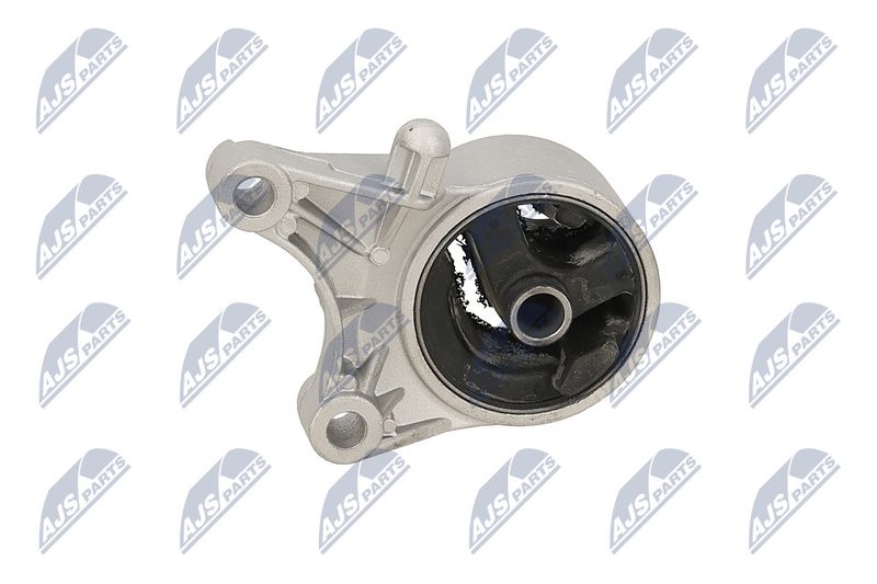 Paigutus, Mootor, NTY ZPS-PL-093