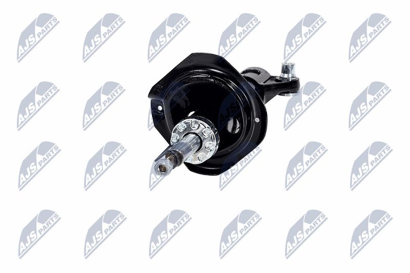 Amort, NTY A-NS-016