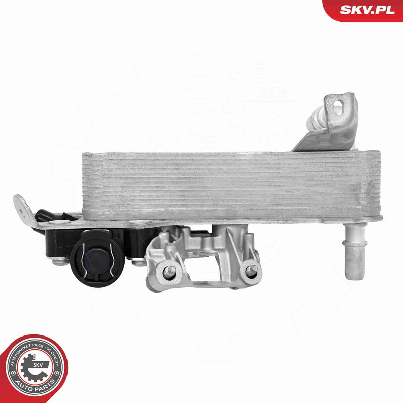 ESEN SKV 31SKV469 Oil Cooler, engine oil