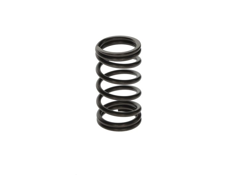 BOSCH F 00N 200 141 Spring
