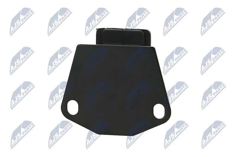 Paigutus, Mootor, NTY ZPS-MS-073