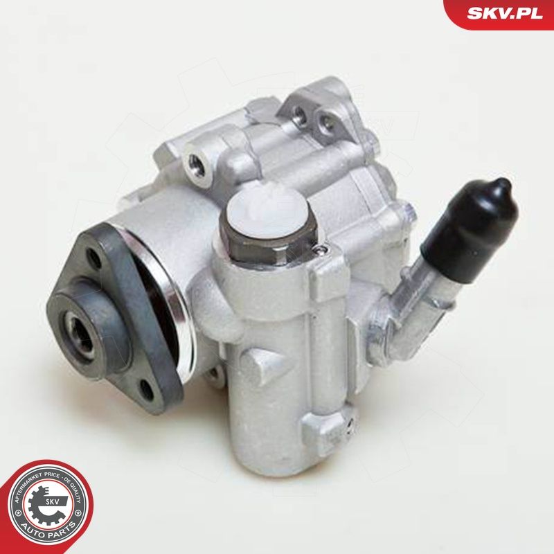 Hüdraulikapump, roolimine, ESEN SKV 10SKV048