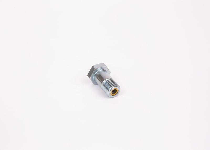 Surub 1 463 456 344 BOSCH