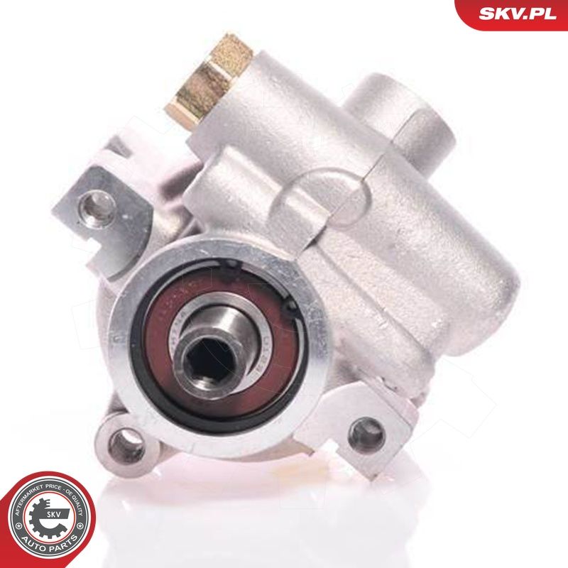 Hüdraulikapump, roolimine, ESEN SKV 10SKV080