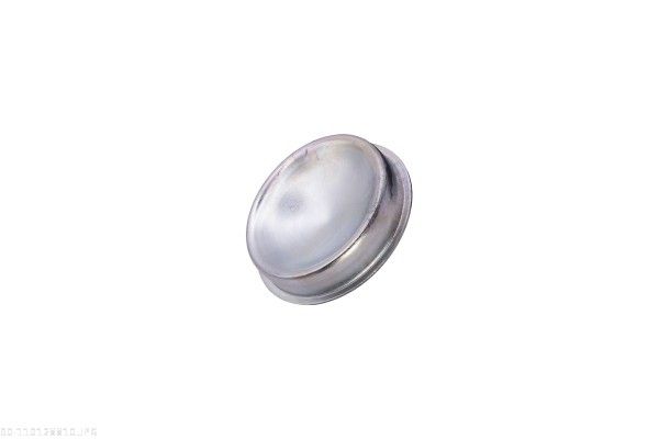 AUTOMEGA 110128810 Cap, wheel bearing
