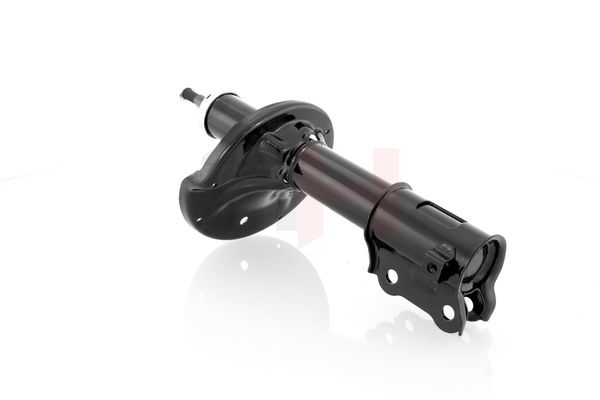 Amort, GH GH-323421H