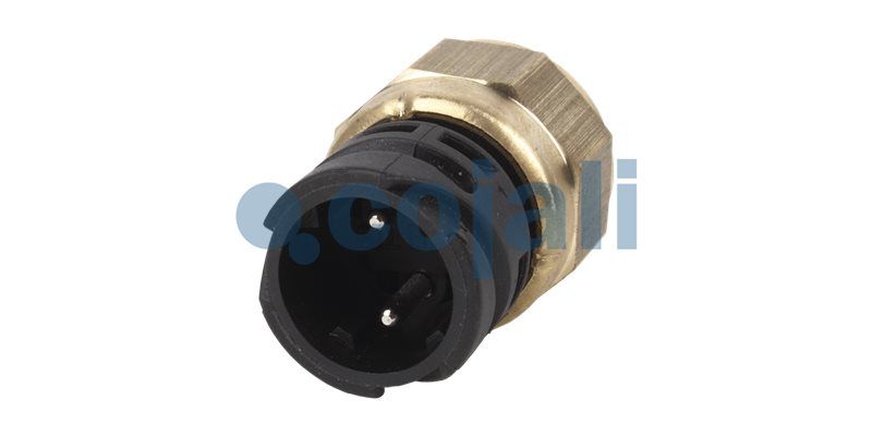 Comutator control COJALI 2260354 - Imagine 1