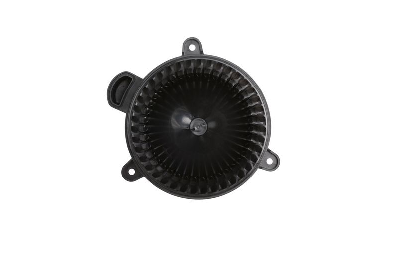 366402461_FRONT_TD_1.JPG