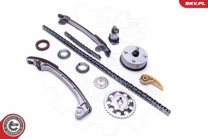 ESEN SKV 21SKV197 Timing Chain Kit