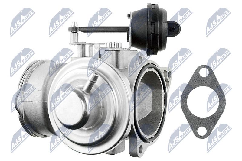 EGR-klapp, NTY EGR-WW-011