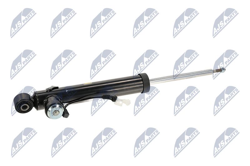 Amort, NTY A-PL-065