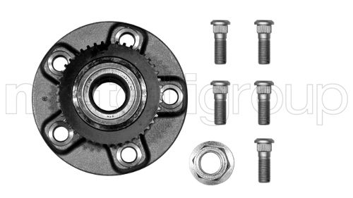 Set rulment roata 619-7857 CIFAM