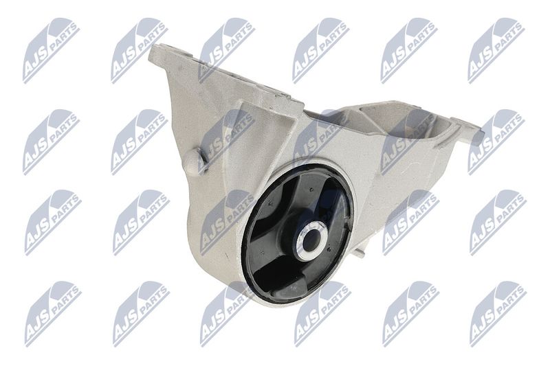 Paigutus, Mootor, NTY ZPS-PL-039