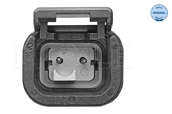 FS_5348000019_2.JPG
