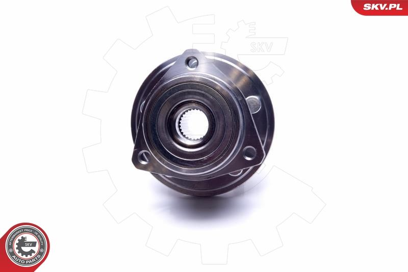 ESEN SKV 29SKV386 Wheel Bearing Kit