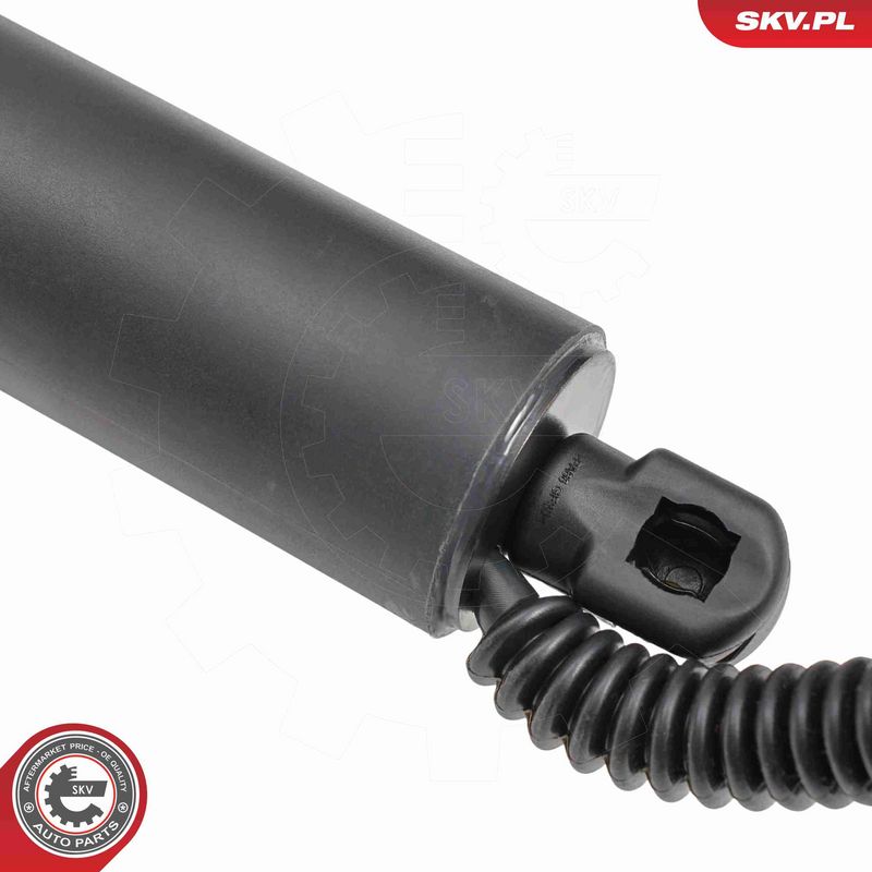 ESEN SKV 52SKV879 Electric Motor, tailgate