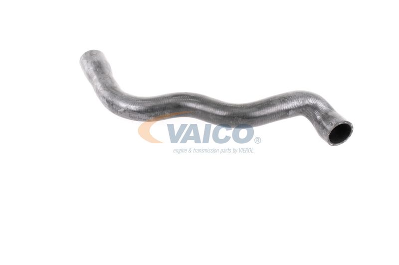 VAICO V30-2915 Radiator Hose