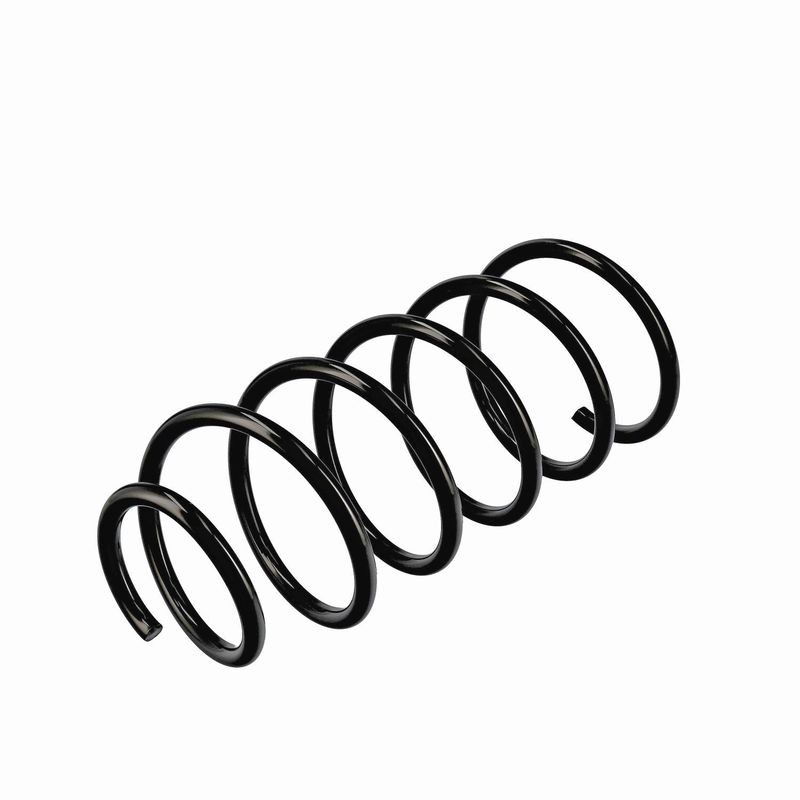 EIBACH R11016 Pakabos spyruoklė