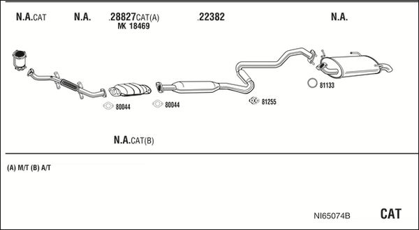 NI65074B_5234643.JPG