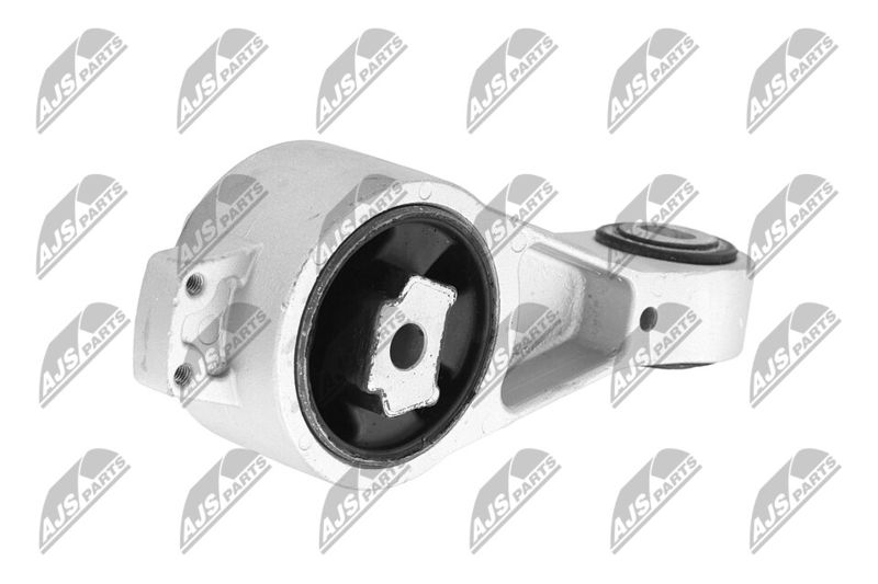 Paigutus, Mootor, NTY ZPS-CH-056