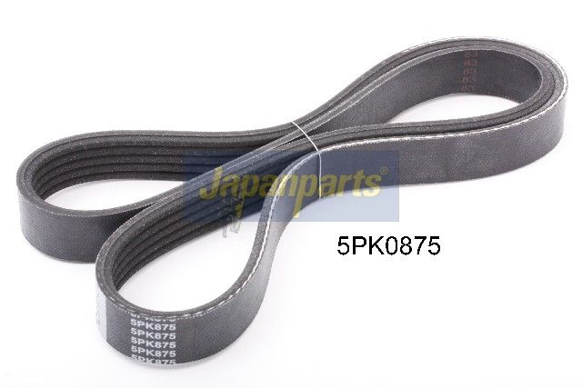 Correa trapecial poli V