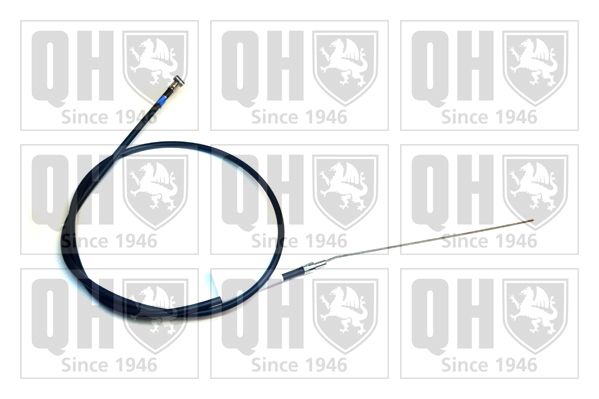 QH_QTC4011.JPG