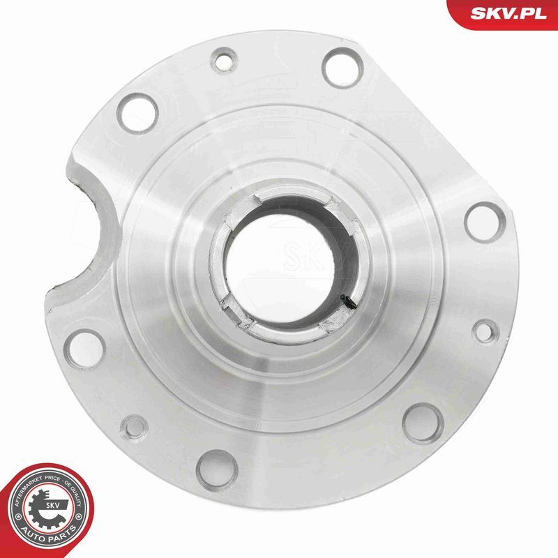 ESEN SKV 29SKV568 Wheel Bearing Kit