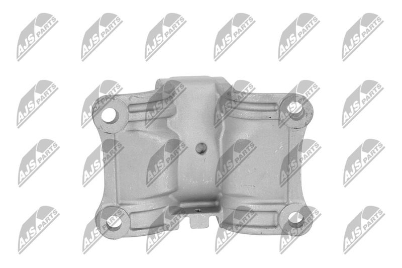 Paigutus, Mootor, NTY ZPS-NS-153
