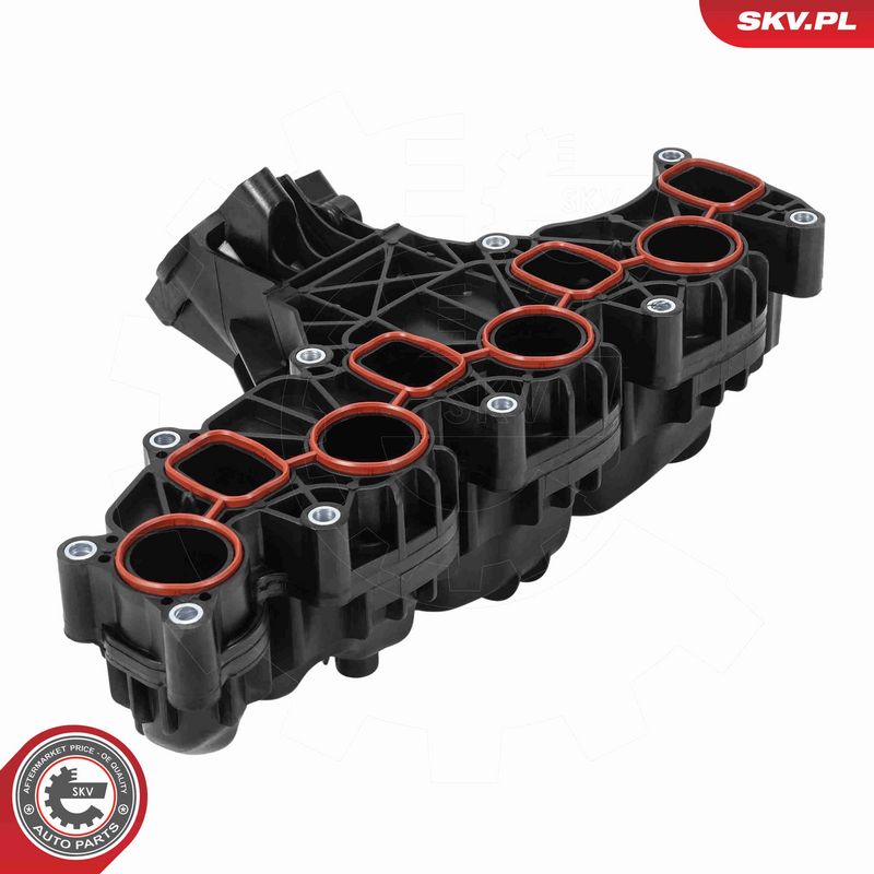 ESEN SKV 49SKV108 Intake Manifold Module