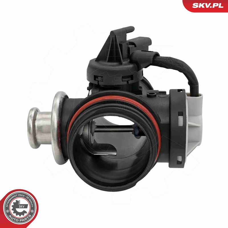 ESEN SKV 14SKV295 EGR Valve