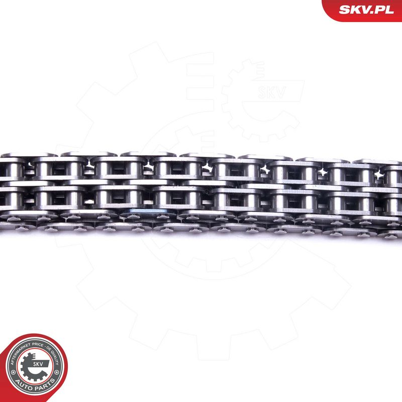 Mootori keti komplekt, ESEN SKV 21SKV247
