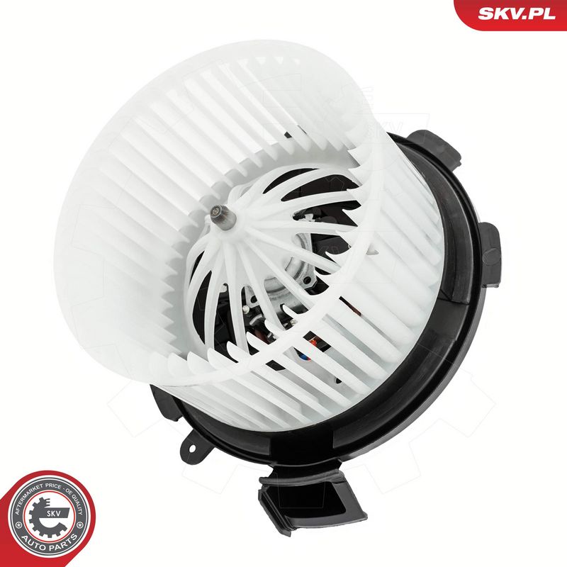 Salongipuhur, ESEN SKV...