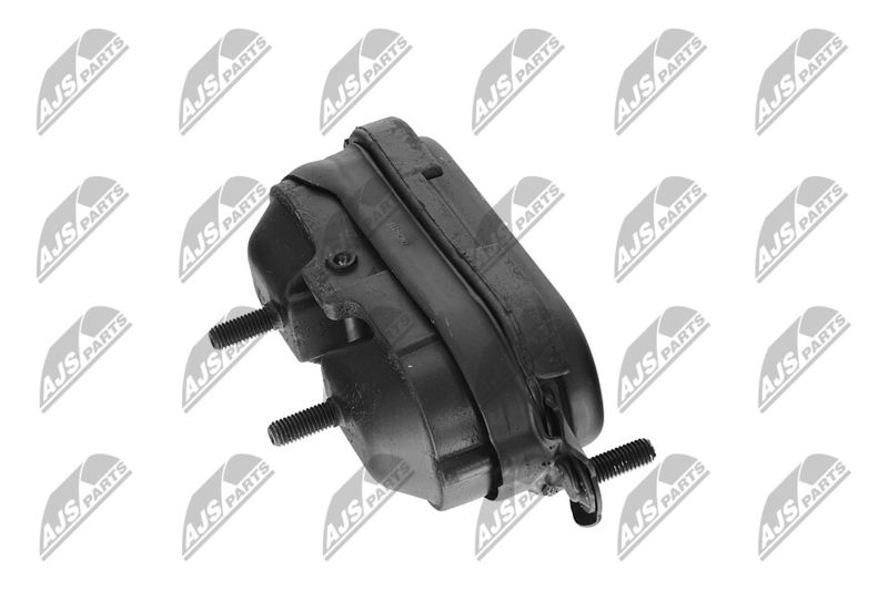 Paigutus, Mootor, NTY ZPS-CH-115