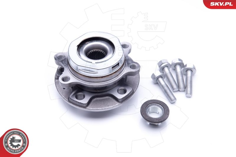 ESEN SKV 29SKV256 Wheel Bearing Kit