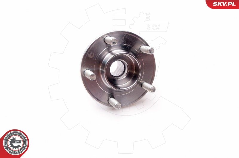 ESEN SKV 29SKV021 Wheel Bearing Kit