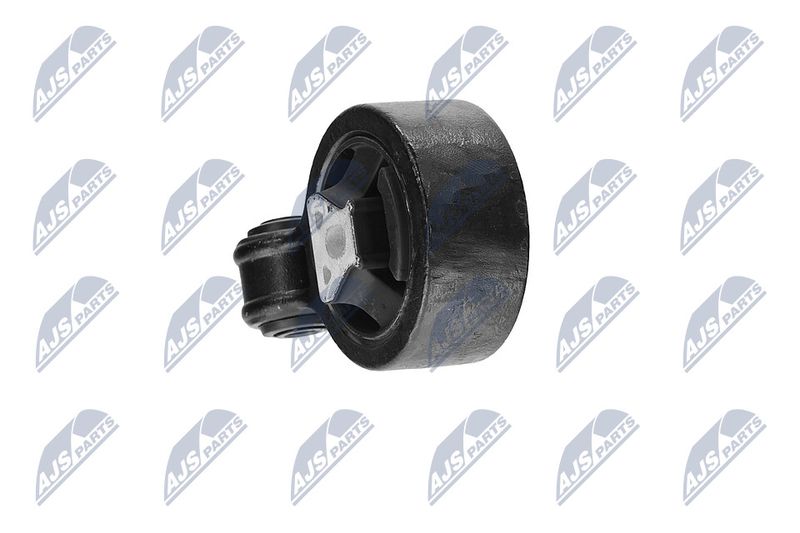 Paigutus, Mootor, NTY ZPS-CH-117