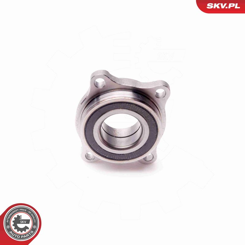 ESEN SKV 29SKV077 Wheel Bearing Kit