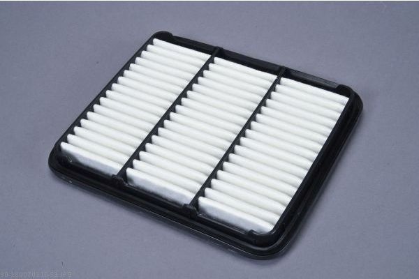 AUTOMEGA 180070110 Air Filter