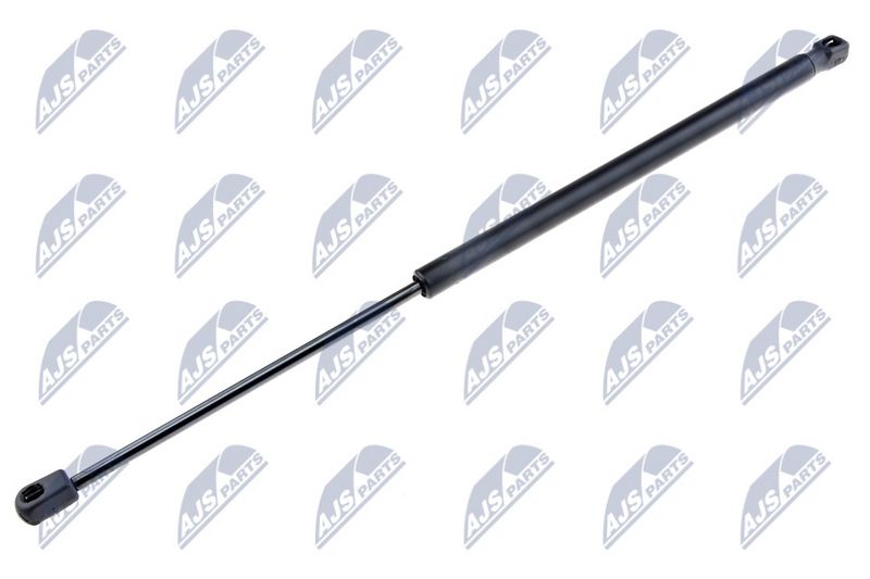 NTY AE-FR-008 Gas Spring, boot/cargo area