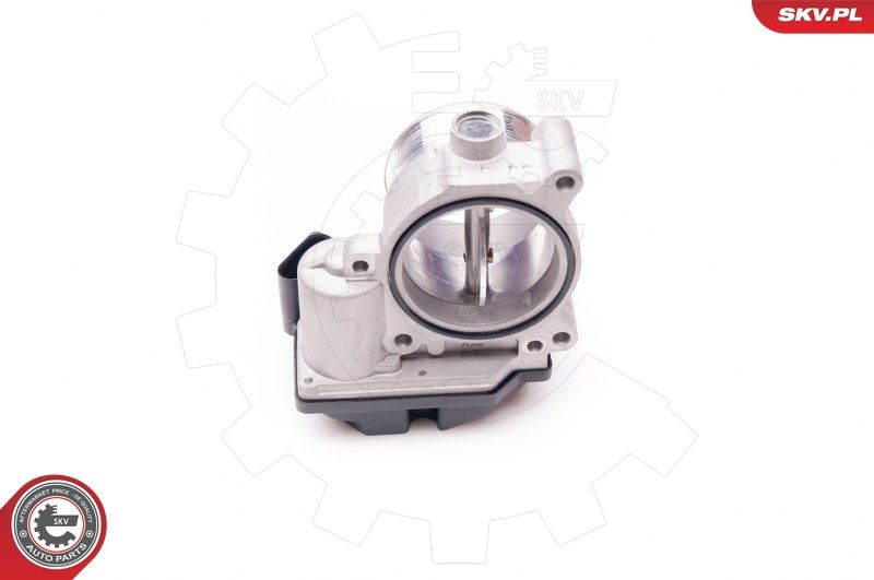 ESEN SKV 12SKV059 Throttle Body