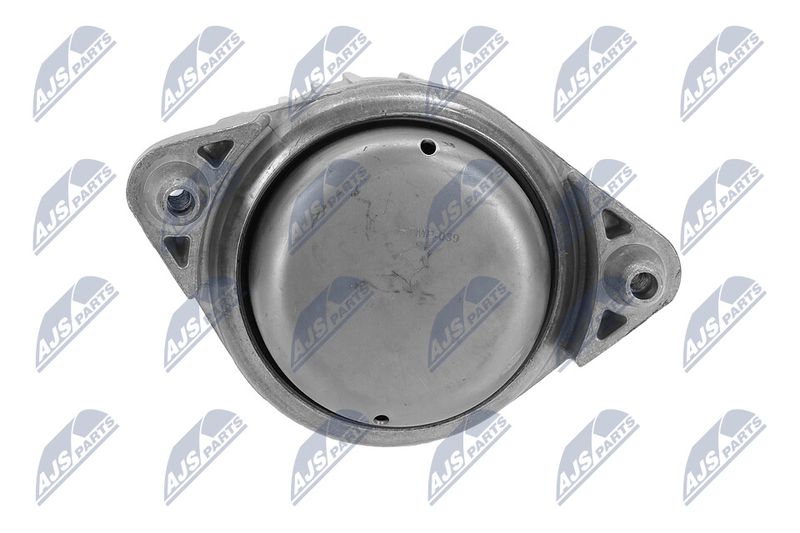 Paigutus, Mootor, NTY ZPS-ME-039