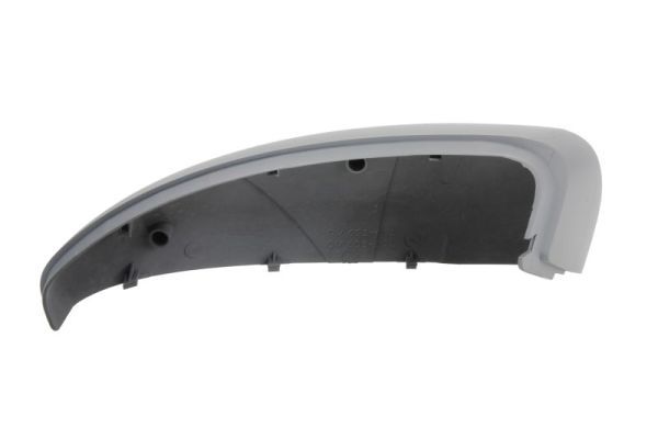 BLIC 6103-56-009353P Housing, exterior mirror