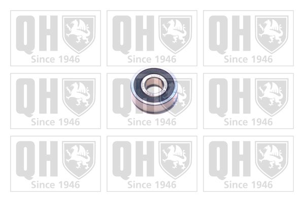 QH_XB9916.JPG