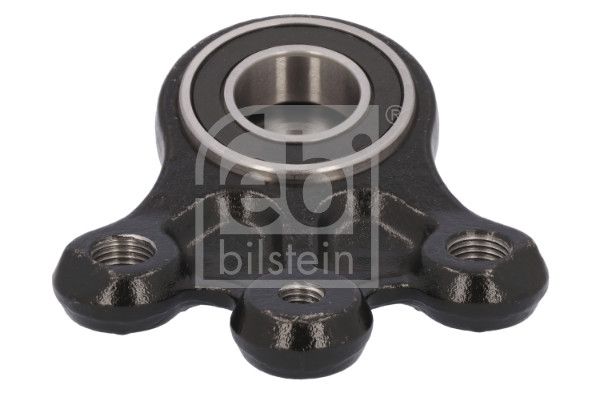 Kande-, juhtliigend, FEBI...