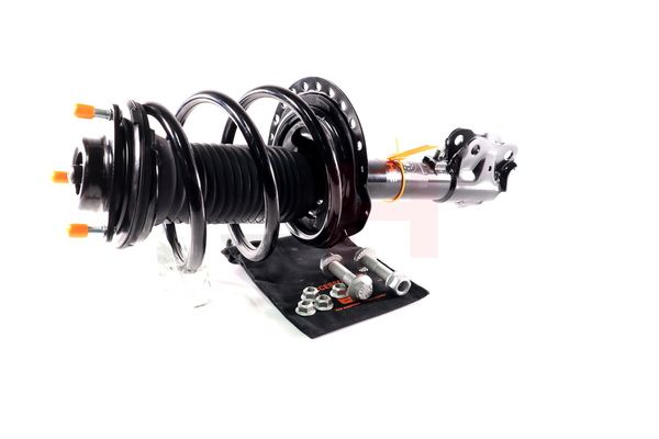 Vedruamort, GH GH-353057C01